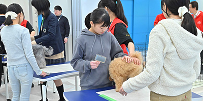 動物イメージ