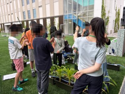 校庭の夏野菜は海をこえて、遠い国からの贈りものイメージ