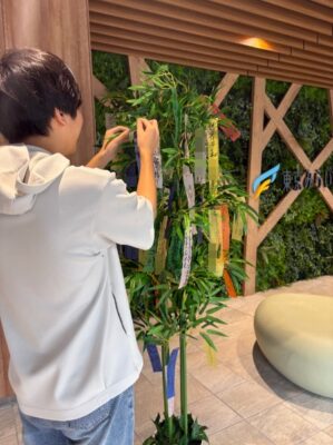 カササギの橋――十五光年の七夕イメージ